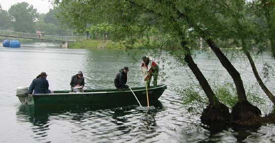 Motorboot beim "Elektrofischen"