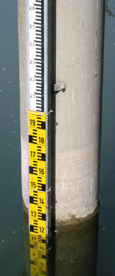 Messlatte für den Wasserstand am Flückigersee